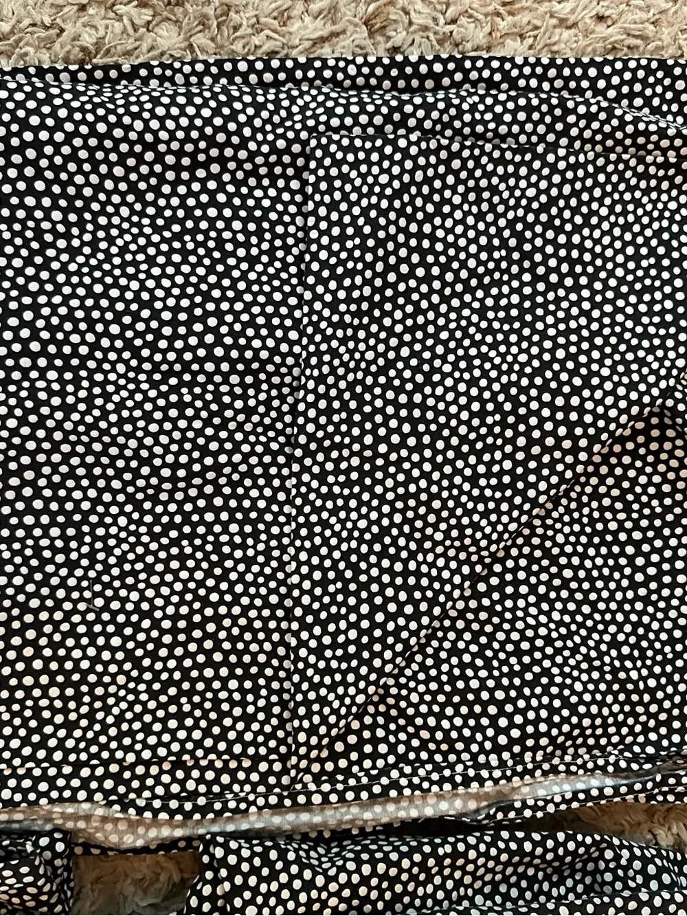 Pottery Barn Teen Twin Polka Dot Sheet Set